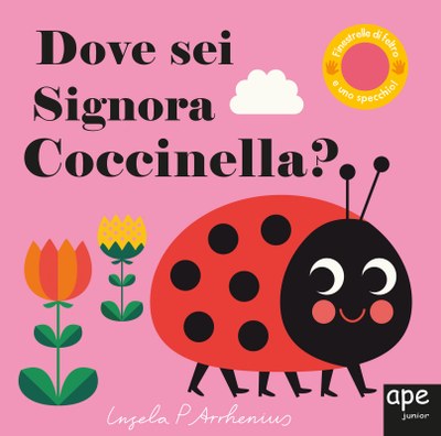 Dove sei signora Coccinella?